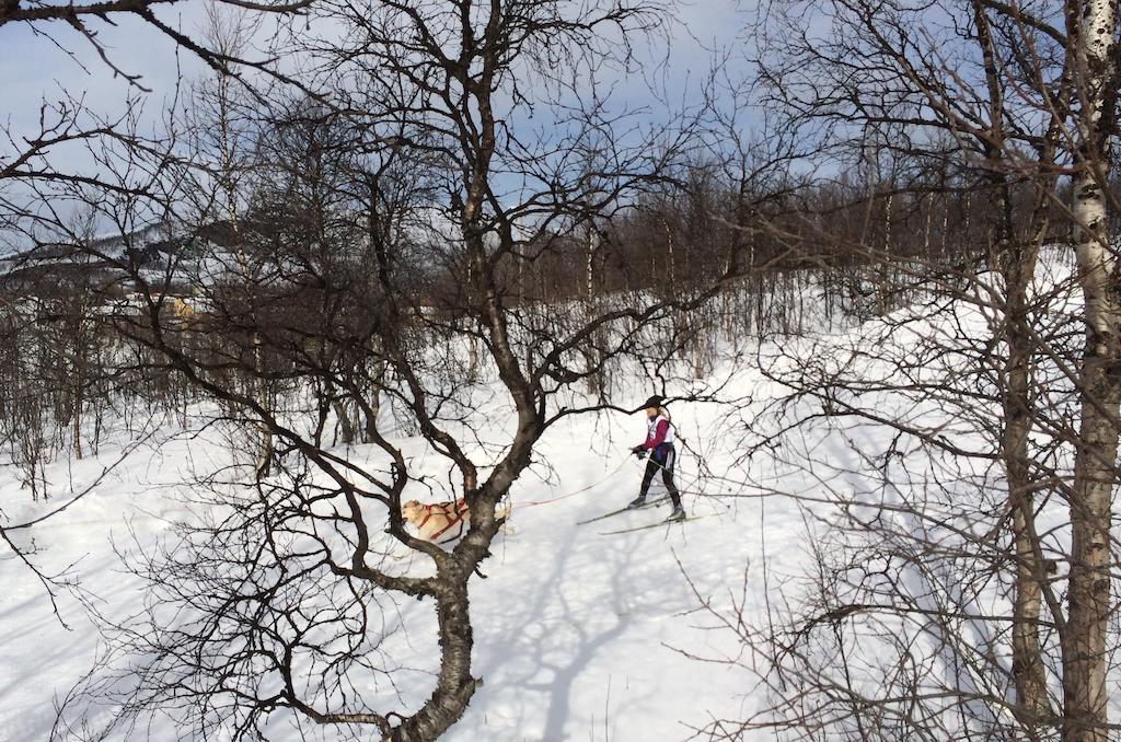 Stf Malmfaeltens Folkhoegskola Kiruna Pokoj fotografie