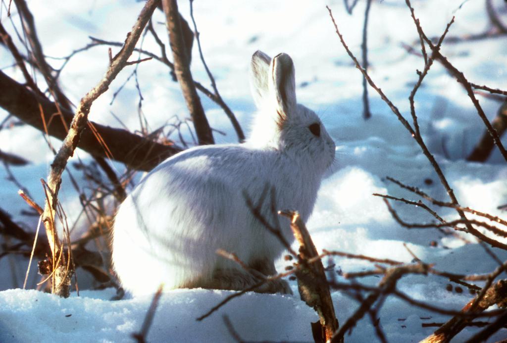 Stf Malmfaeltens Folkhoegskola Kiruna Exteriér fotografie